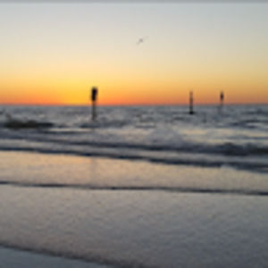 Meet your Posher, Sbk